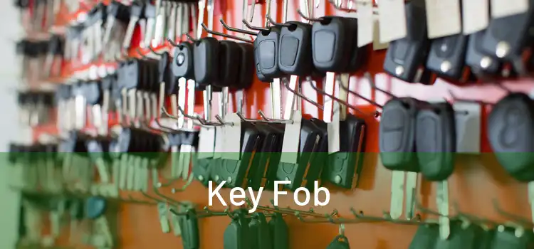  Key Fob 